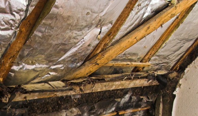 Old Insulation: Four Potential Hazards