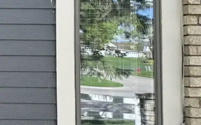 Understanding and Addressing Woodpecker Damage