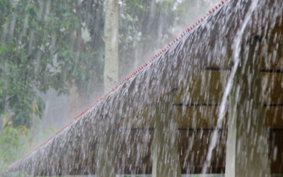 Gutters: Are Your Gutters Adequate for Minnesota’s Rain Volume?