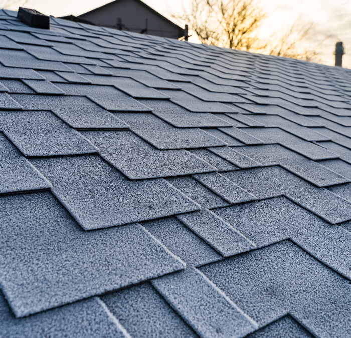 Close-up view of frost-covered asphalt shingles and siding on a residential roof, with the sun setting and bare tree branches visible in the background.