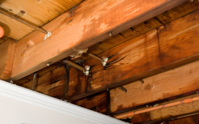 Urgent Pre-Winter Home Preparation: Fix Leaks, Cold Spots, and Drafts Before It’s Too Late