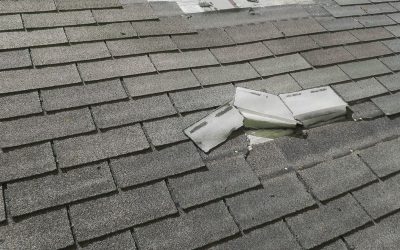 Common Winter Storm Damage Myths in Minnesota Debunked