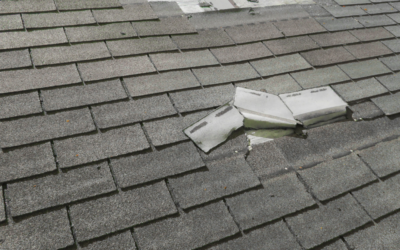 Common Winter Storm Damage Myths in Minnesota Debunked