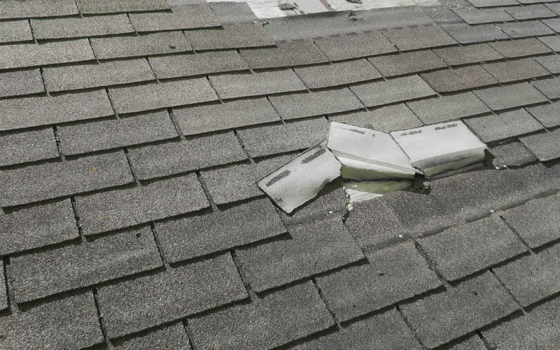 Common Winter Storm Damage Myths in Minnesota Debunked