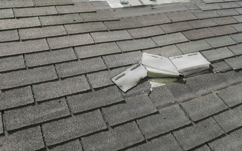 Asphalt roof shingles in Woodbury with a small section visibly damaged and lifted, exposing the area beneath and showing signs of needed roofing repair.